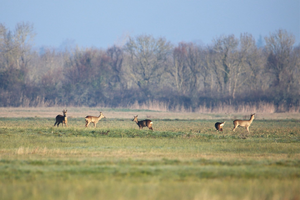 Kinésithérapeute La Garenne-Colombes